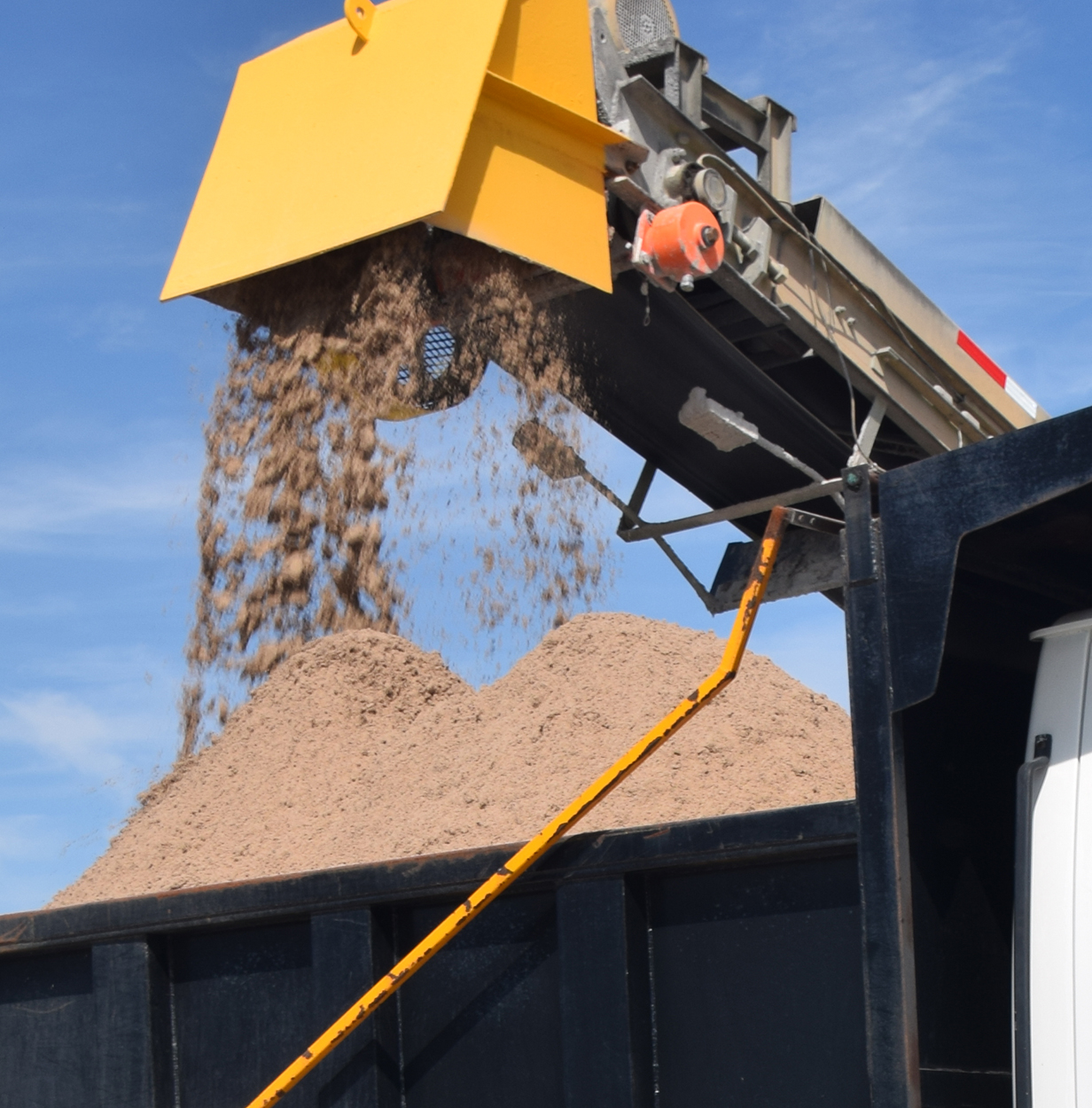 Team Members Take a Closer Look at Bold & Gold®: An Eco-Friendly Commercial Success