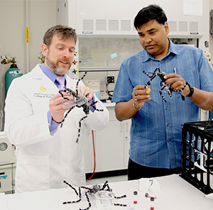 The Buzz on Tracking Disease-Carrying Mosquitoes