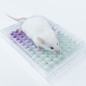 New Approach for Determining Nanomaterial (NM) Biodistribution in the Body Offers an Alternative to Animal Testing