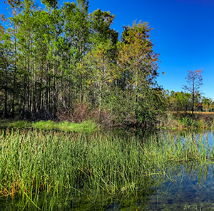 New Velocimeters Provide Improved Sensing Capabilities in Aquatic Environments
